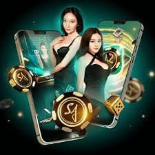 772bet